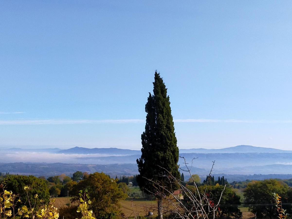Il Borgo Del Lupo Villa ซาร์เตอาโน ภายนอก รูปภาพ