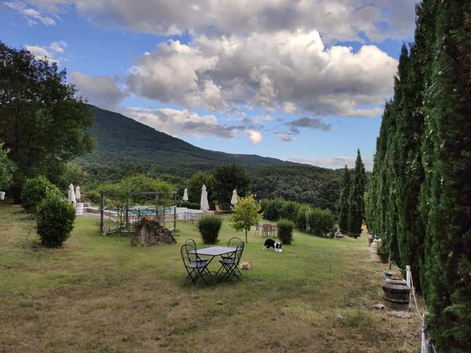 Il Borgo Del Lupo Villa ซาร์เตอาโน ภายนอก รูปภาพ